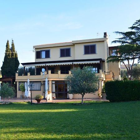 Bed And Breakfast La Corte Degli Ulivi Civitavecchia Exterior foto